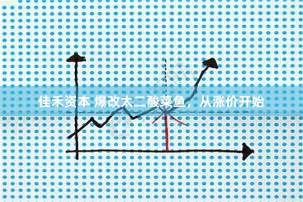 佳禾资本 爆改太二酸菜鱼，从涨价开始