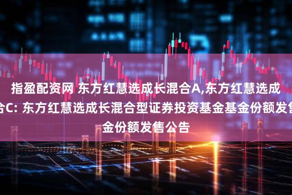 指盈配资网 东方红慧选成长混合A,东方红慧选成长混合C: 东方红慧选成长混合型证券投资基金基金份额发售公告