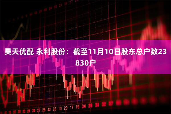 昊天优配 永利股份：截至11月10日股东总户数23830户